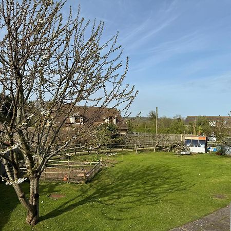 Mulberry Lawn Apartments Brading Dış mekan fotoğraf